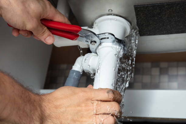 Best Professional water damage repair  in Manchester, IA