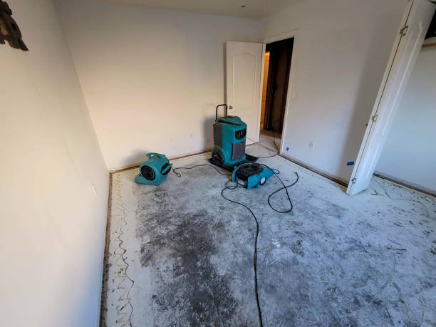 Best 24-hour water damage restoration  in Manchester, IA