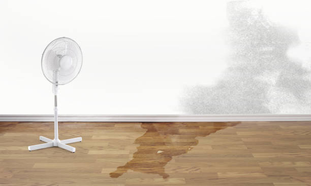 Best Residential water damage restoration  in Manchester, IA
