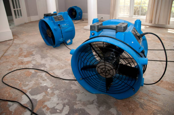 Best Flooded house restoration  in Manchester, IA