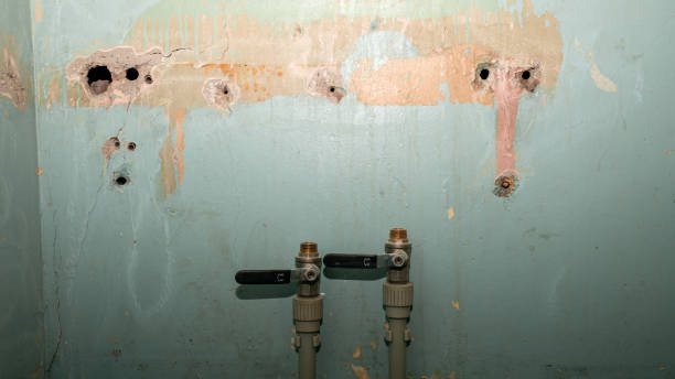 Best Flood restoration services  in Manchester, IA