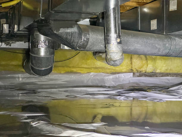 Best Water damage restoration services  in Manchester, IA