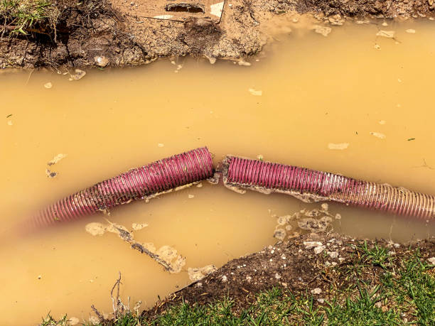 Best Emergency water damage restoration  in Manchester, IA