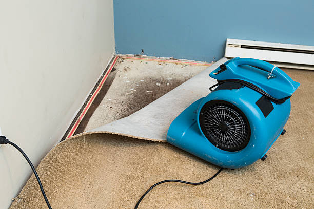 Best Water damage restoration near me  in Manchester, IA